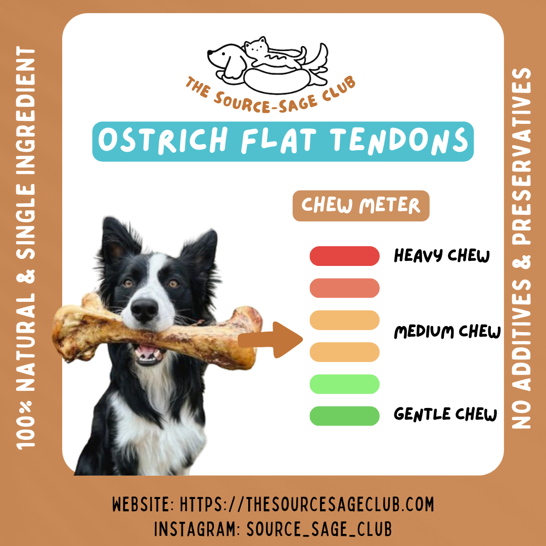 Air Dried Ostrich Flat Tendon (single ingredient dog treats, dog dental chew) Sourcesage Club