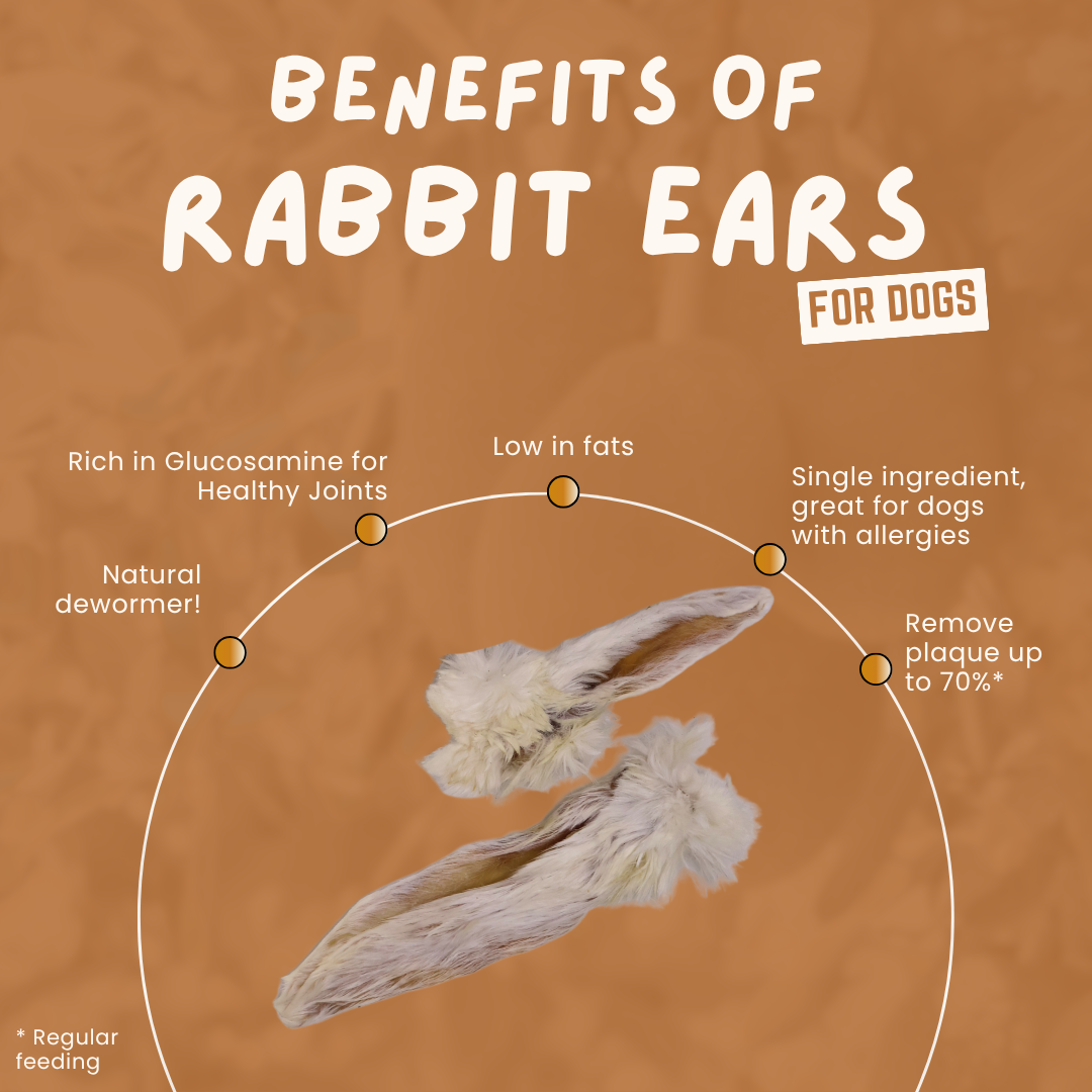 Rabbit Ears With Fur Natural Dewormer for Dogs (single ingredient dog treats, dog dental chew) Sourcesage Club