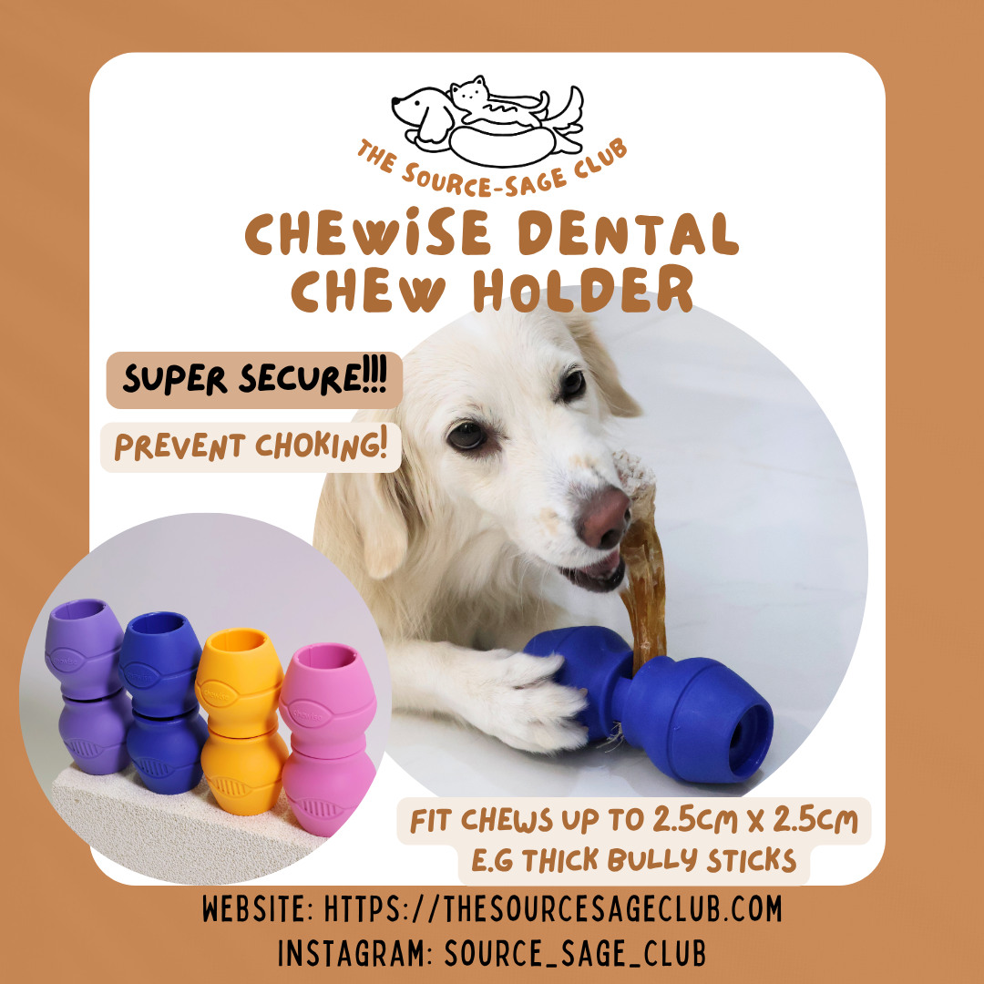 Kong Bully Stick Clamp Chewise Dental Chew Holder (super Secure