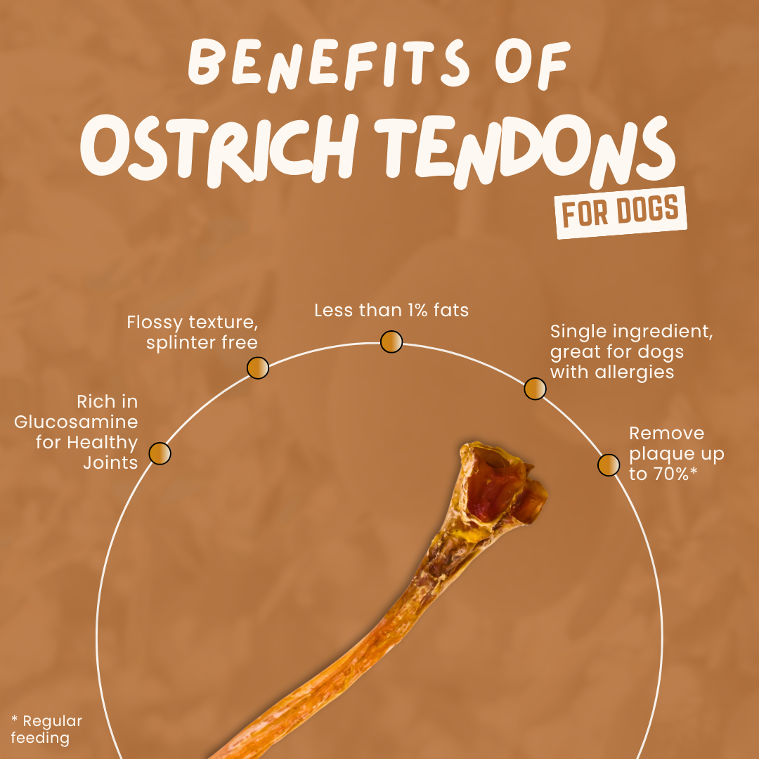 Air Dried Ostrich Long Straight / Braided Tendon ~40cm long (single ingredient dog treats, dog dental chew) Sourcesage Club