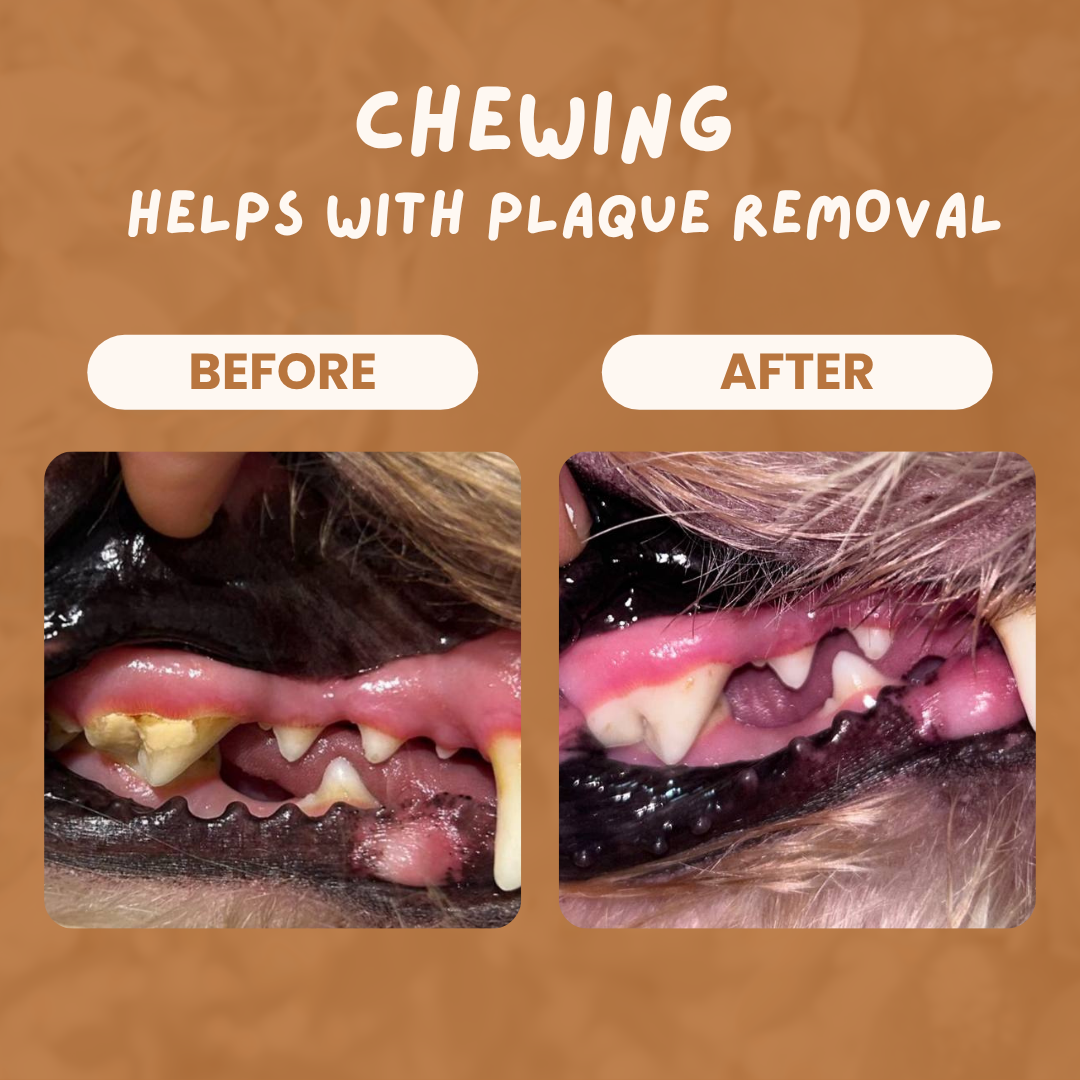 Air Dried Lamb, Goat, Horse Skin (Twist or Braided lamb) (single ingredient dog treats, dog dental chew)