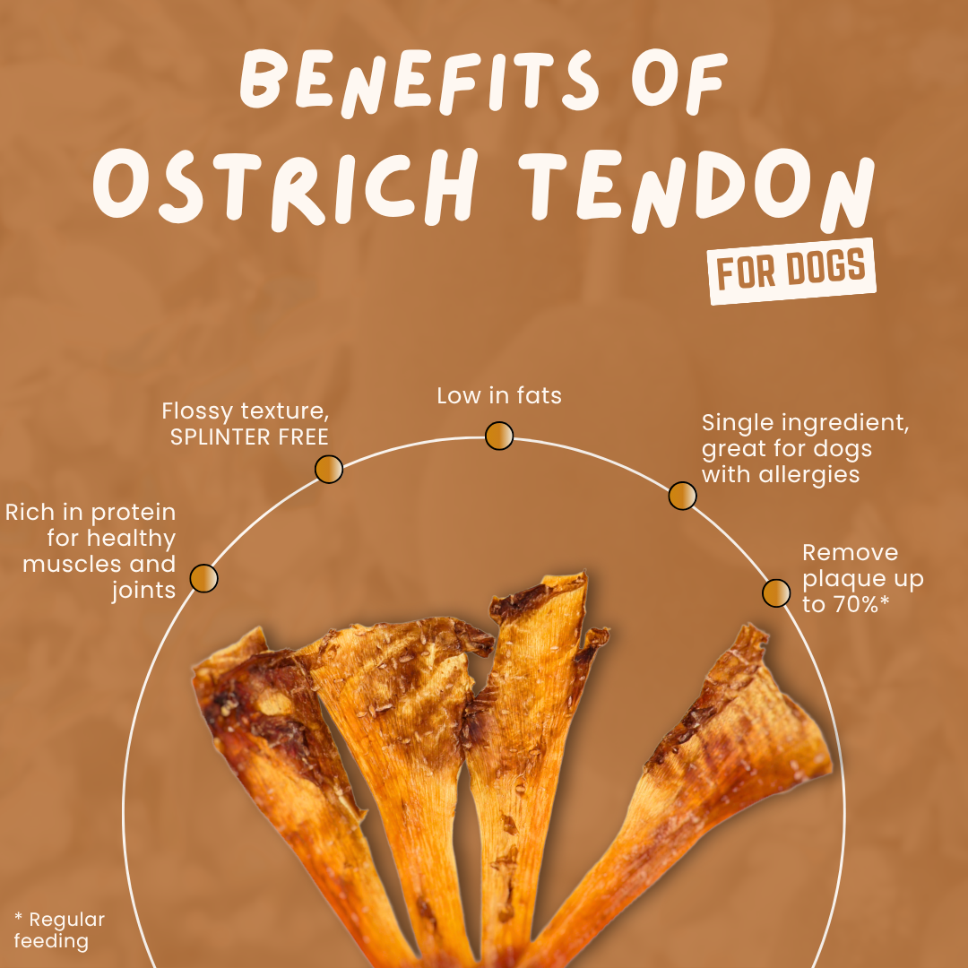 Air Dried Ostrich Flat Tendon (single ingredient dog treats, dog dental chew) Sourcesage Club