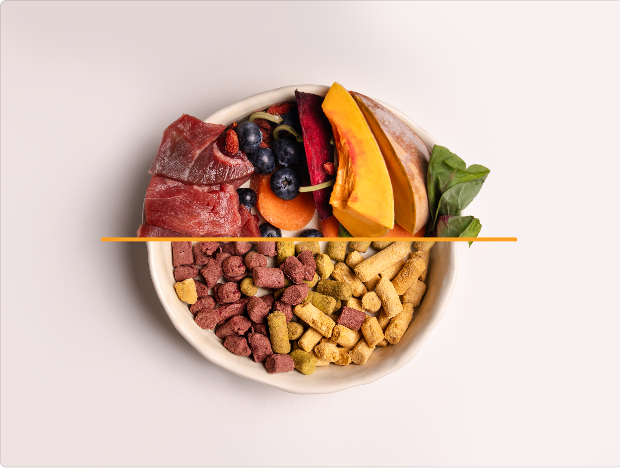 FREZ Guts Health - Freeze Dried Duck/ Beef Pumpkin Carrot (Dog and Cats Treats)