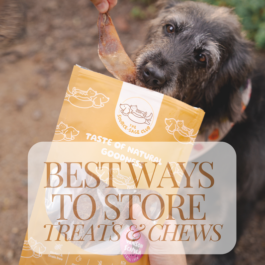 Best ways to store your pets' dental chews and treats!