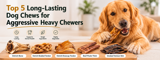 Top 5 Long-Lasting Dog Chews for Aggressive Heavy Chewers
