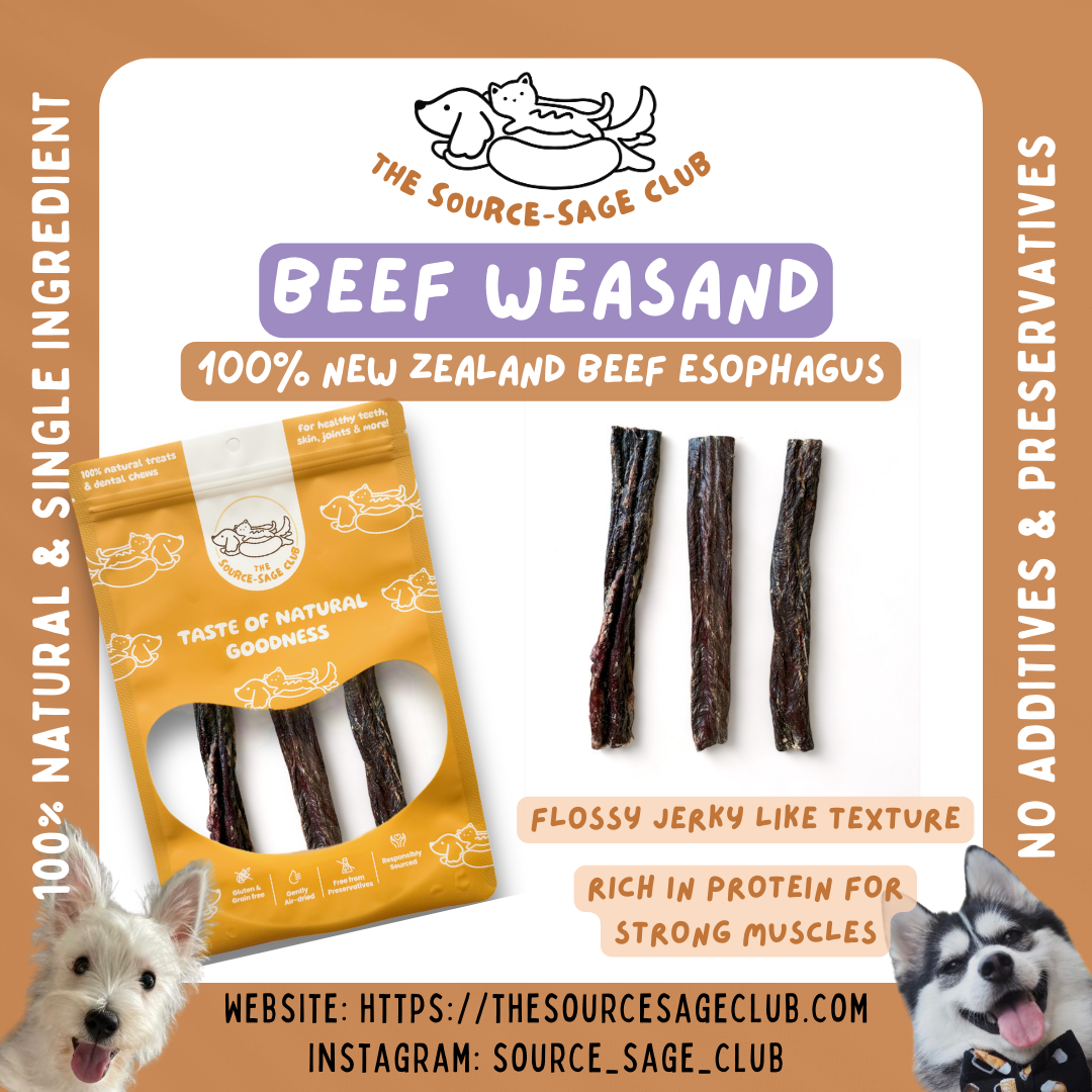 Air Dried New Zealand Beef Weasand (Esophagus) (single ingredient dog treats, dog dental chew)