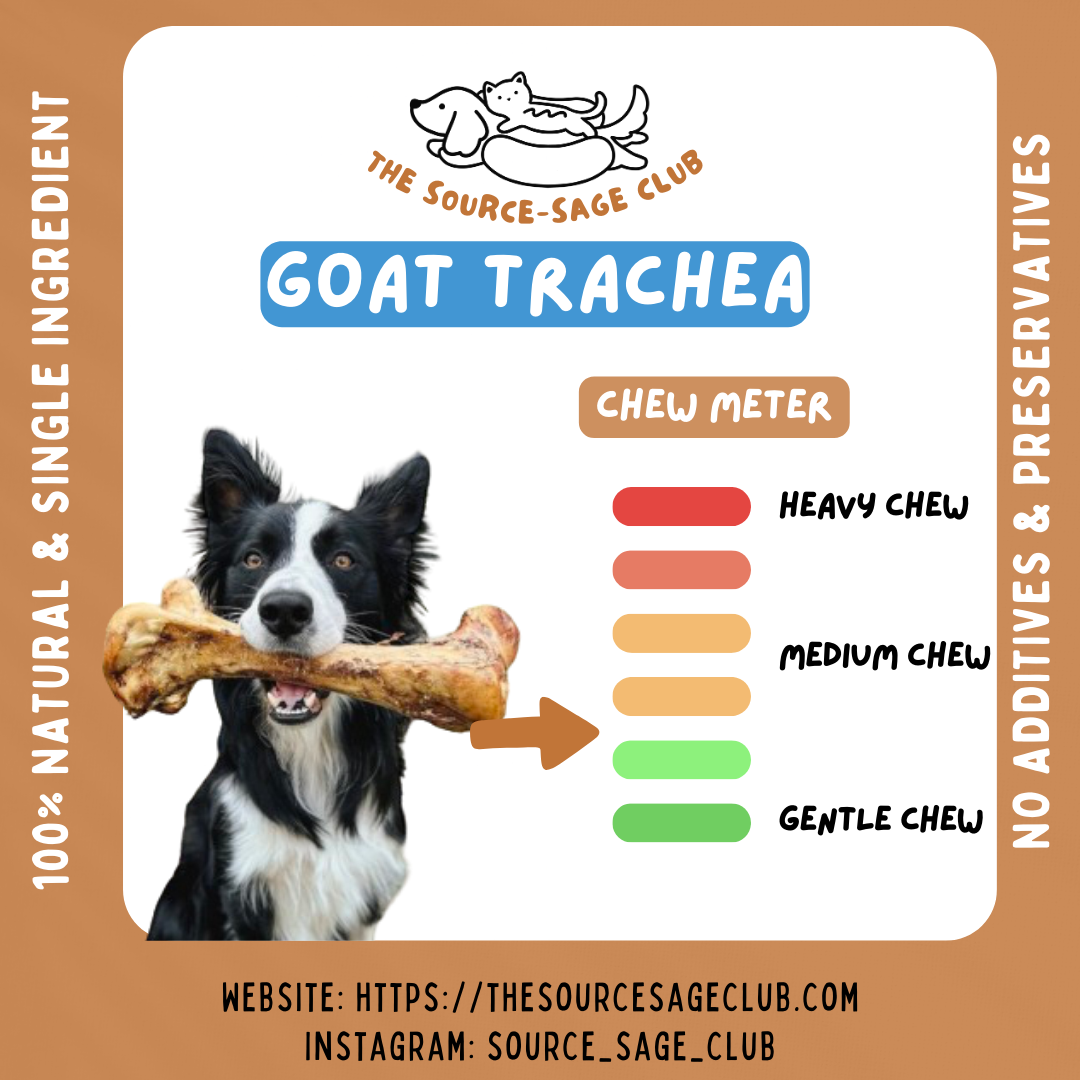 Air Dried Goat Trachea Windpipe (single ingredient dog treats, dog dental chew)