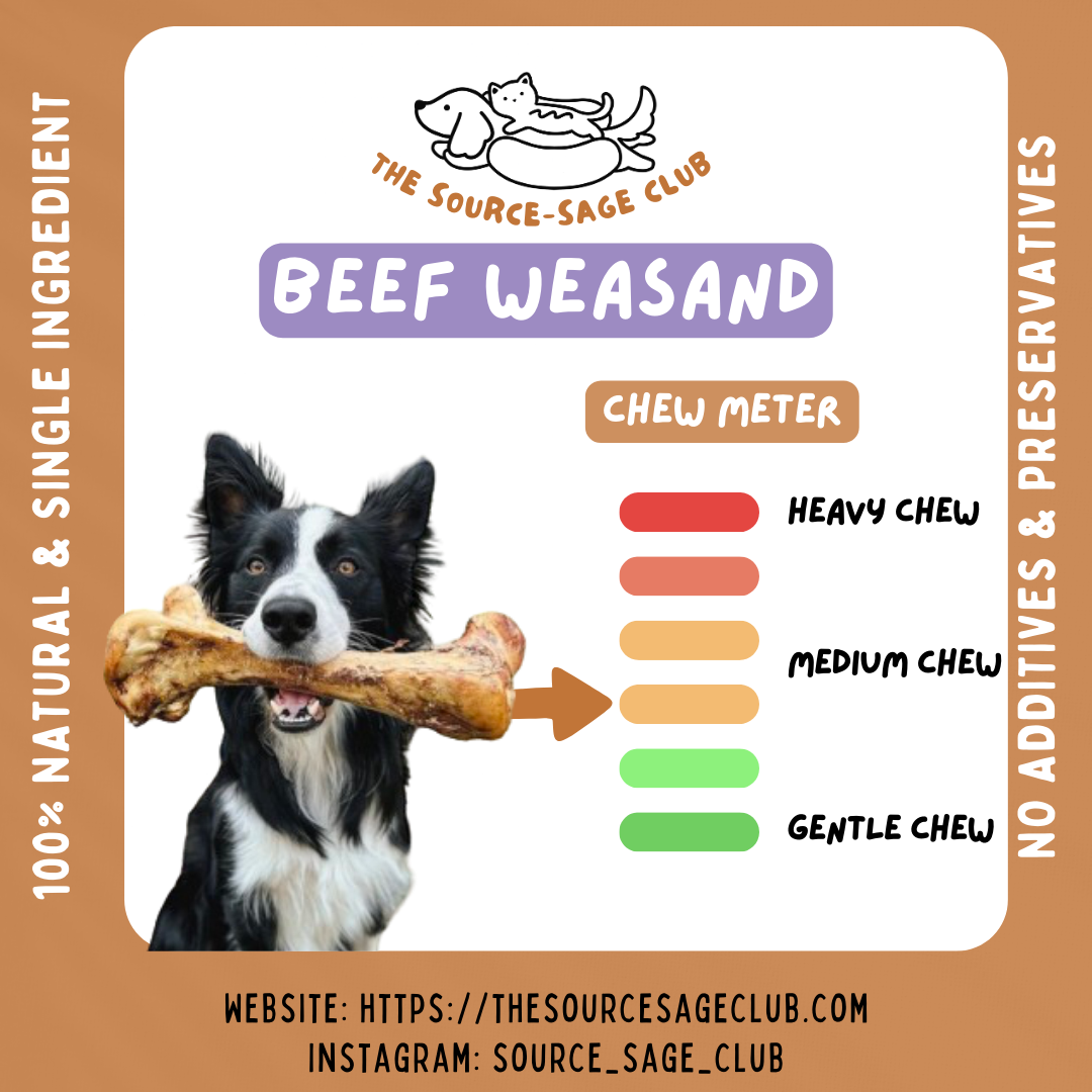 [1kg - 20% OFF] Air Dried New Zealand Beef Weasand (Esophagus)15cm and 30cm (dog dental chew dog treats)