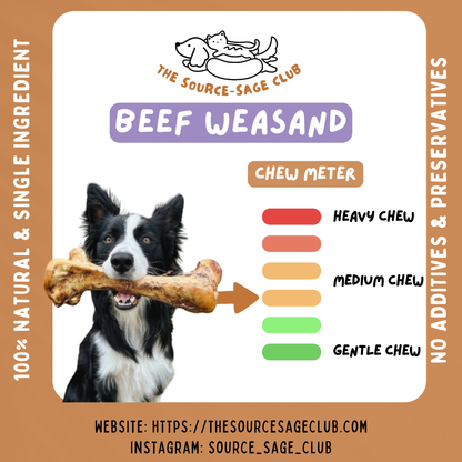 Air Dried New Zealand Beef Weasand (Esophagus) (single ingredient dog treats, dog dental chew)