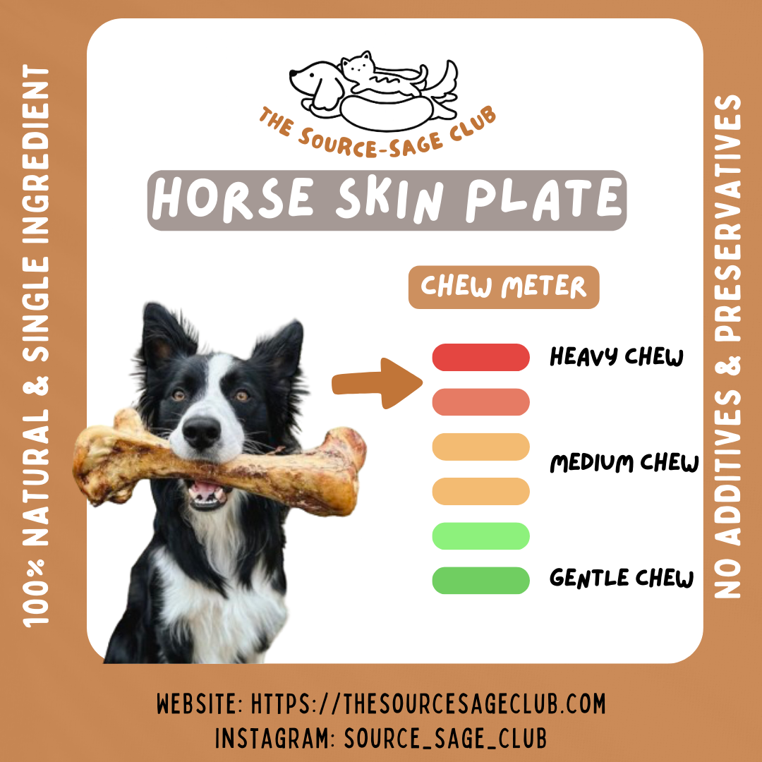 Air Dried Horse Skin Plate (single ingredient dog treats, dog dental chew)