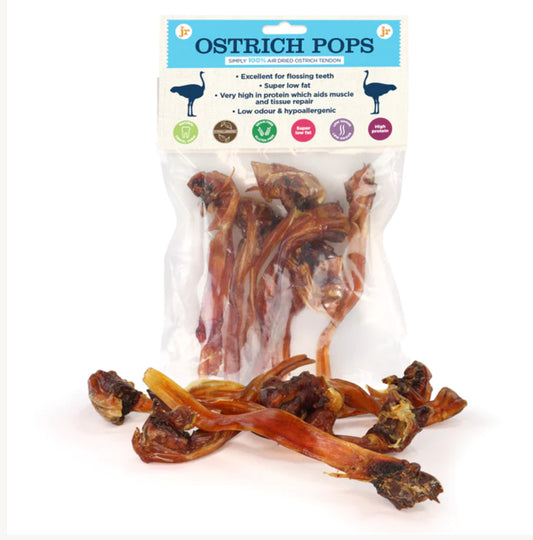 JR Pet Air Dried Ostrich Tendon Pop (dog treats dog dental chew)