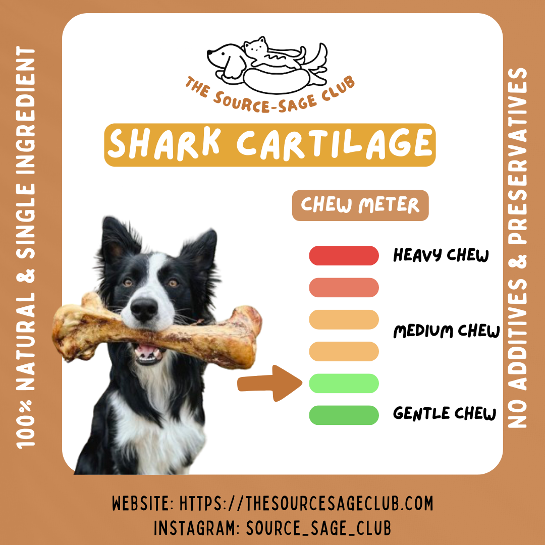 [1KG PACK - 20% OFF] Air Dried Australian Shark Cartilage (dog treats dog dental chew)