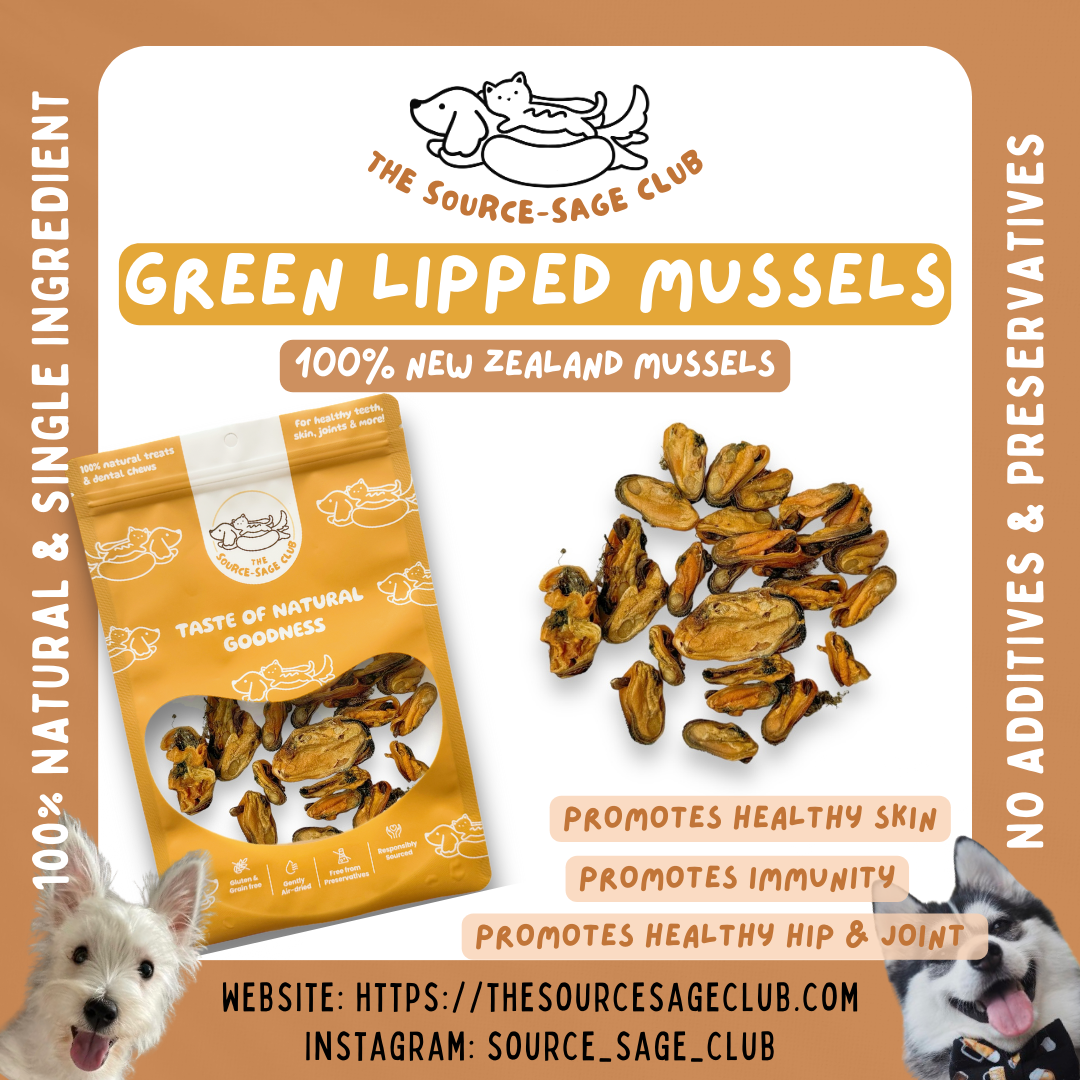 [1KG PACK - 20% OFF] NEW ZEALAND Air Dried Green lipped mussels powder / whole (dog treats cat treats)