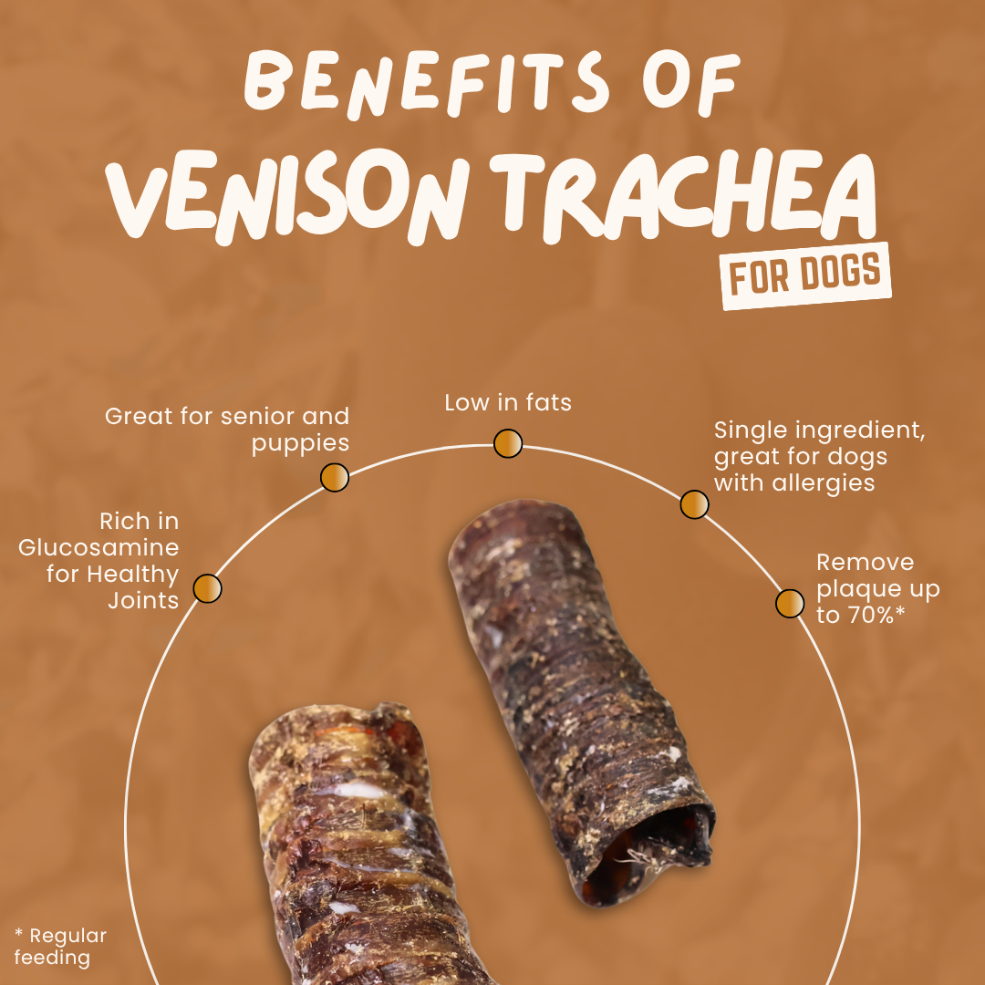 Air Dried New Zealand Venison Trachea (Windpipe) (single ingredient dog treats, dog dental chew)