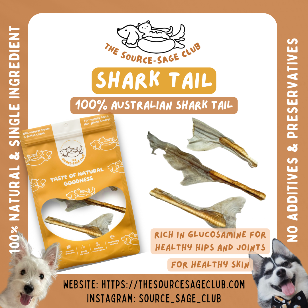 [1KG PACK - 20% OFF] Air Dried Australian Shark Tail (dog treats dog dental chew)