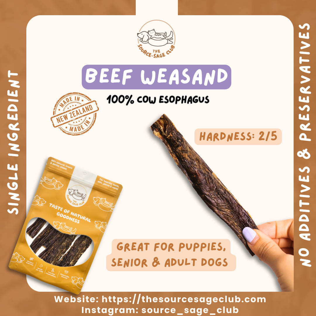 [1kg - 15% OFF] Air Dried New Zealand Beef Weasand (Esophagus) 15cm (dog dental chew dog treats)
