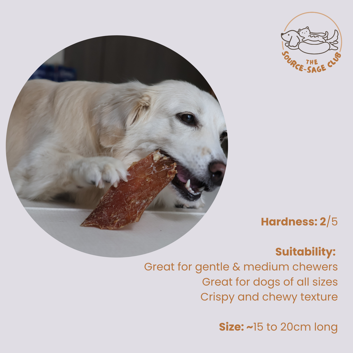 Air Dried Australian Beef Aorta  (Cow's Artery) (single ingredient dog treats, dog dental chew) Sourcesage Club (Copy)