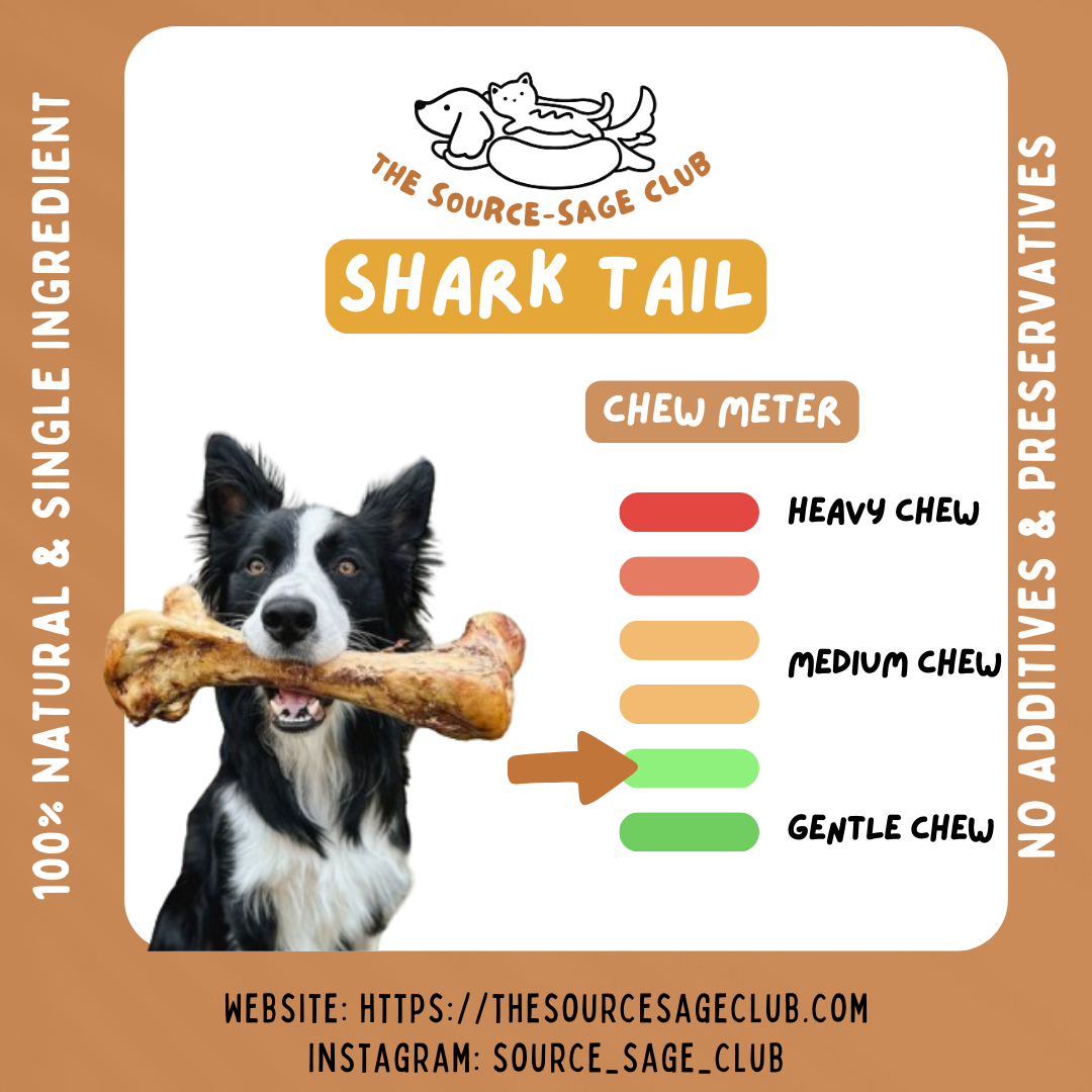 Air Dried Australian Shark Tail (single ingredient dog treats, dog dental chew)