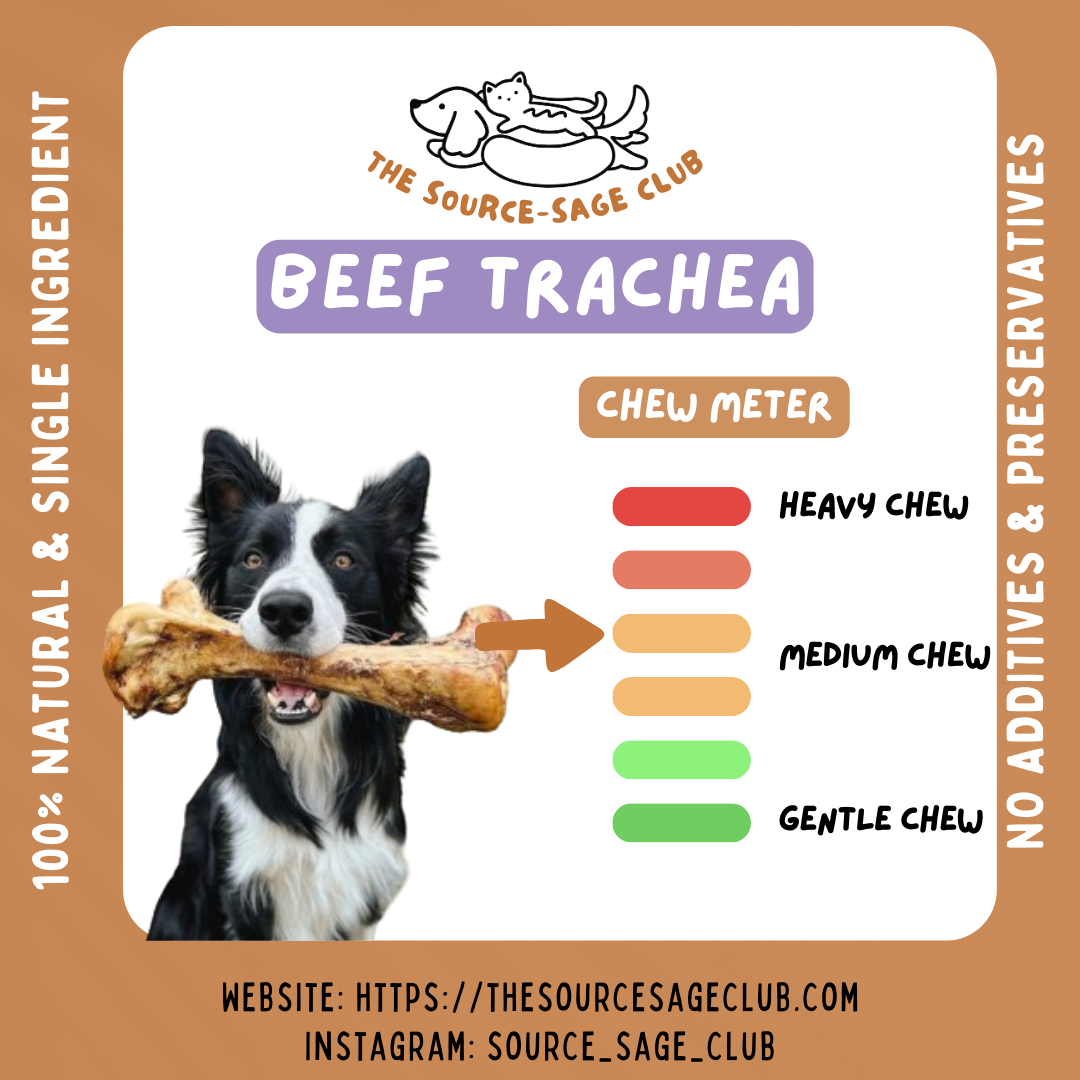 Air Dried New Zealand Beef Trachea (Windpipe) (single ingredient dog treats, dog dental chew)