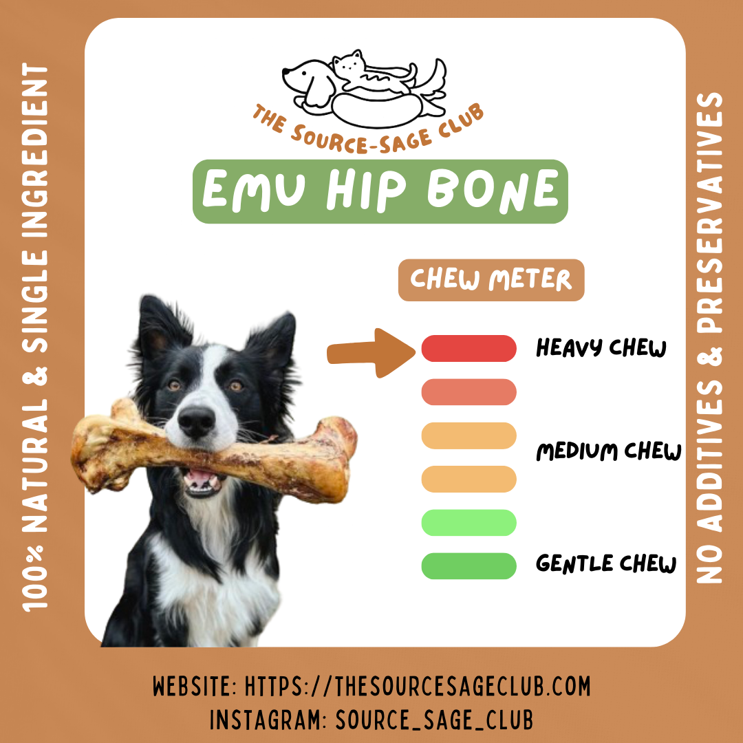 Air Dried Australian Emu Hip Bone (single ingredient dog treats, dog dental chew)