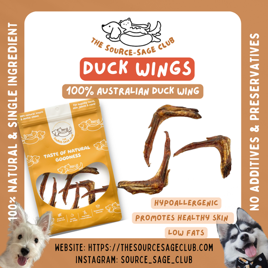 Air Dried Australian Duck Wings 100g (single ingredient dog treats, dog dental chew)