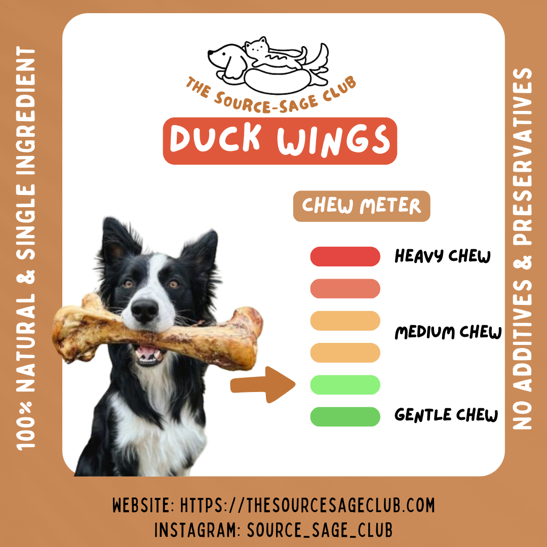 Air Dried Australian Duck Wings 100g (single ingredient dog treats, dog dental chew)