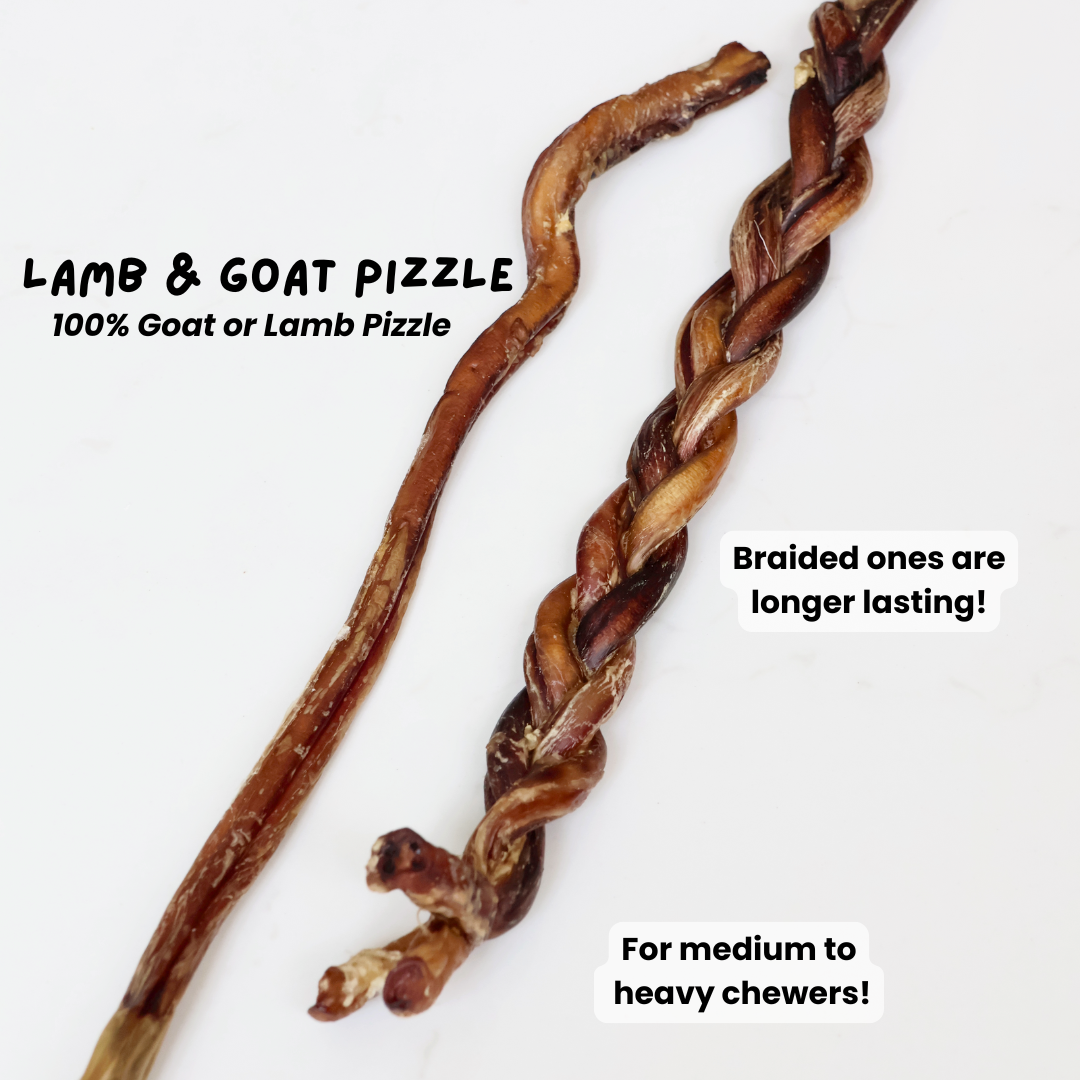 Air Dried Goat Pizzle Bully Stick (single ingredient dog treats, dog dental chew)