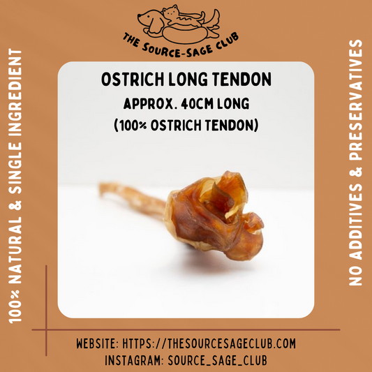 Ostrich Long Tendon 1pc approx. 40cm long ((hypoallergenic, super low fat, dental chew for dogs)