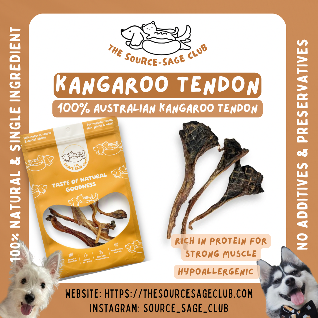 Air Dried Australian Kangaroo Tendon Pop (single ingredient dog treats, dog dental chew)