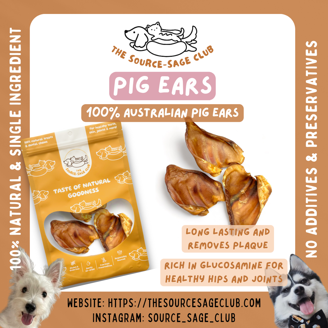 [1KG PACK - 15% OFF] Air Dried Australian Pig Ears whole (dog treats dog dental chew)