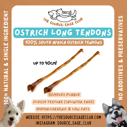 Air Dried Ostrich Long Tendon 1pc 40cm long (single ingredient dog treats, dog dental chew)