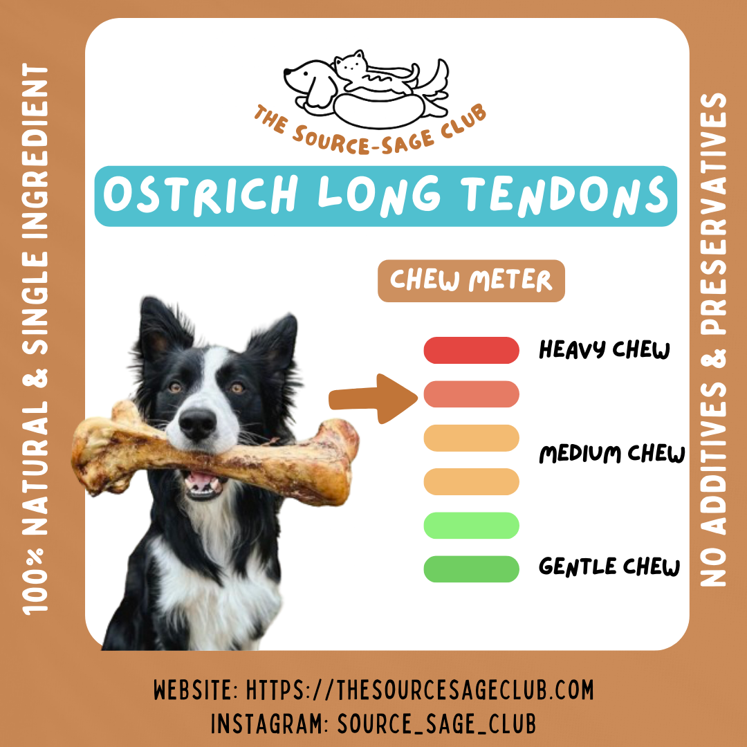 Air Dried Ostrich Long Tendon 1pc 40cm long (single ingredient dog treats, dog dental chew)