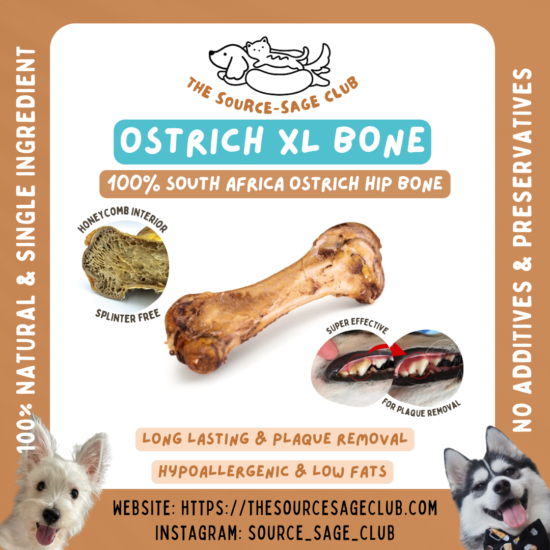 Air Dried Premium XL Ostrich Bone (single ingredient dog treats, dog dental chew)