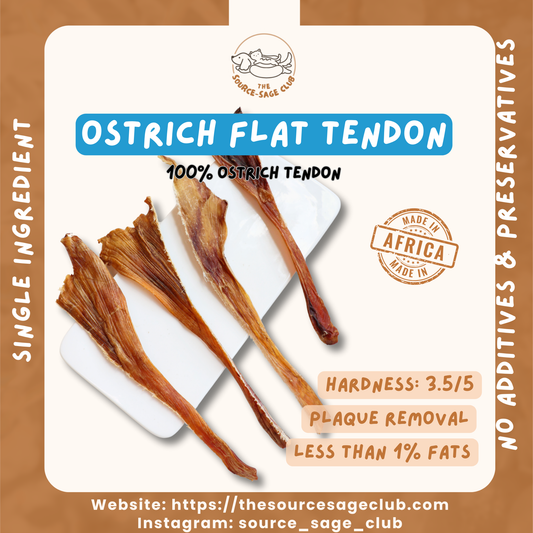 Air Dried Ostrich Flat Tendon (single ingredient dog treats, dog dental chew)