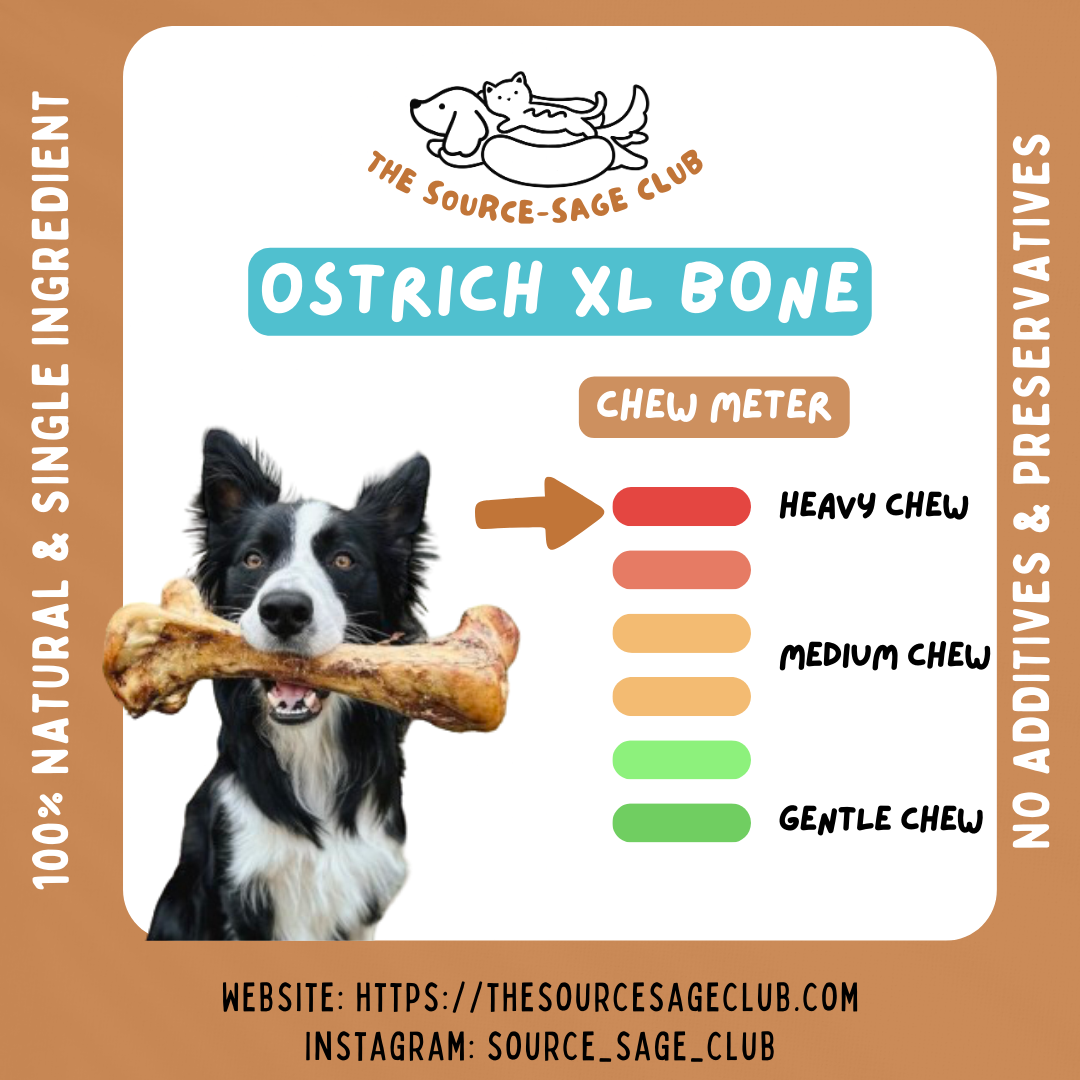 Air Dried Premium XL Ostrich Bone (single ingredient dog treats, dog dental chew)