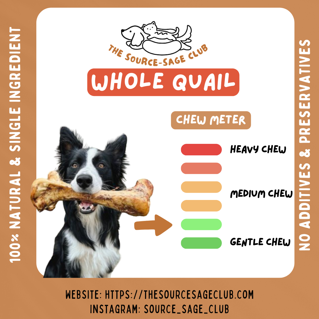 Dehydrated Quail (single ingredient dog treats, dog dental chew)