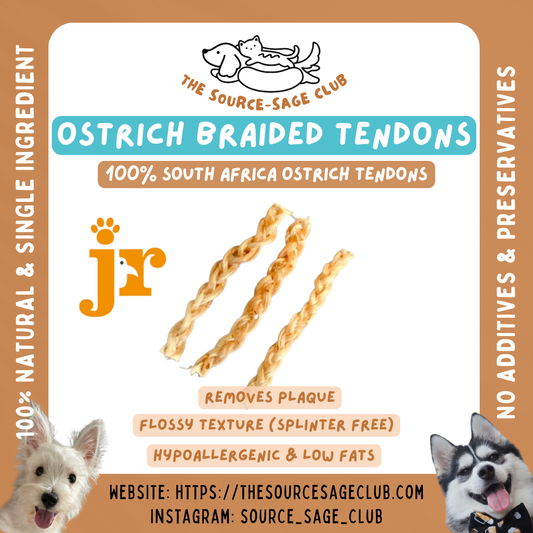 Air Dried Braided Ostrich Tendon (single ingredient dog treats, dog dental chew)