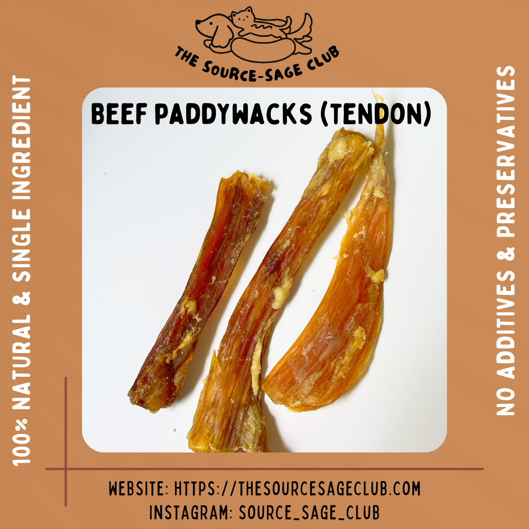 Kangaroo tendon dog sales chews