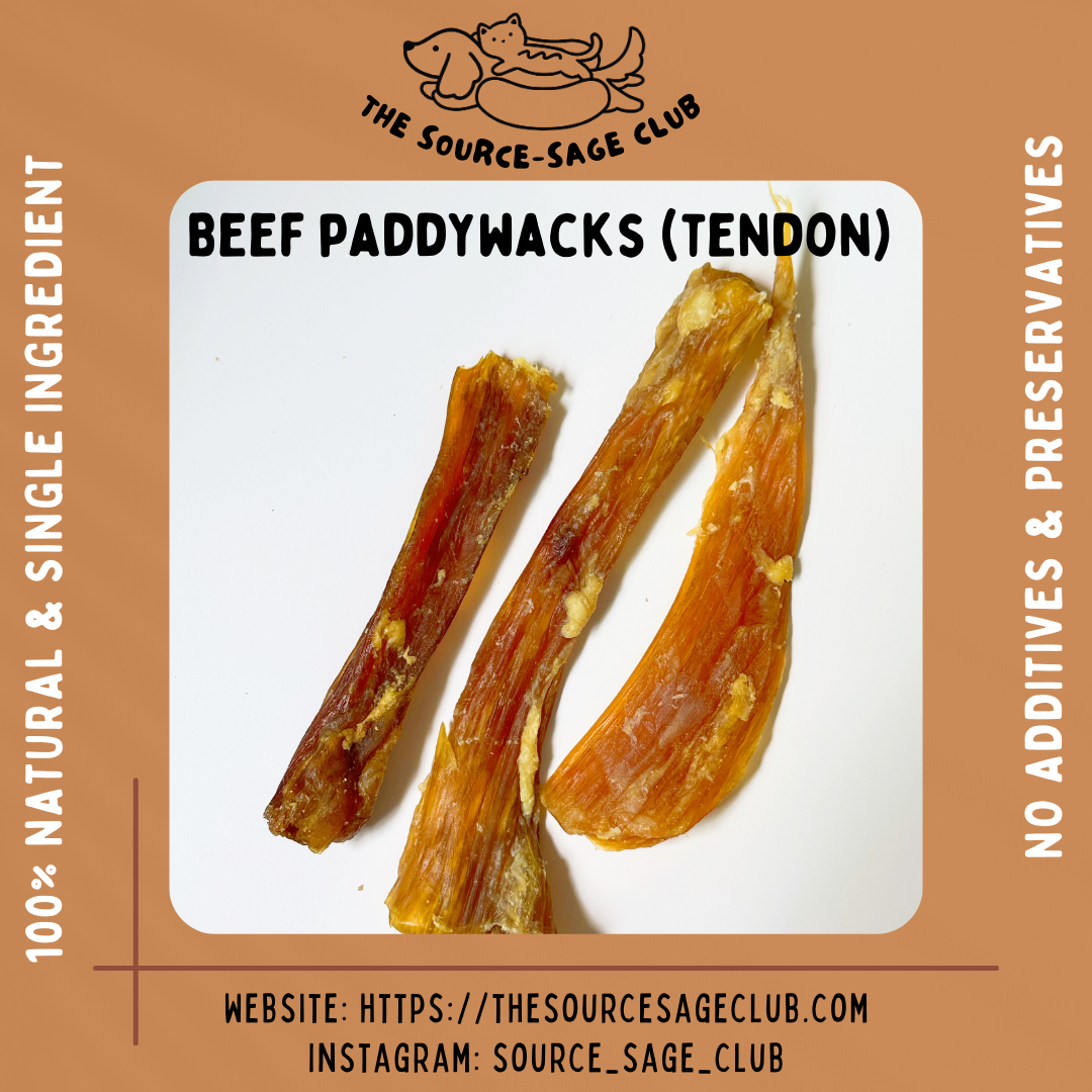 Kangaroo tendon outlet dog chews