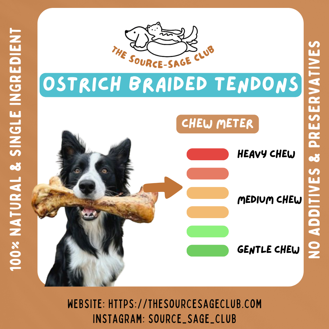 Air Dried Braided Ostrich Tendon (single ingredient dog treats, dog dental chew)