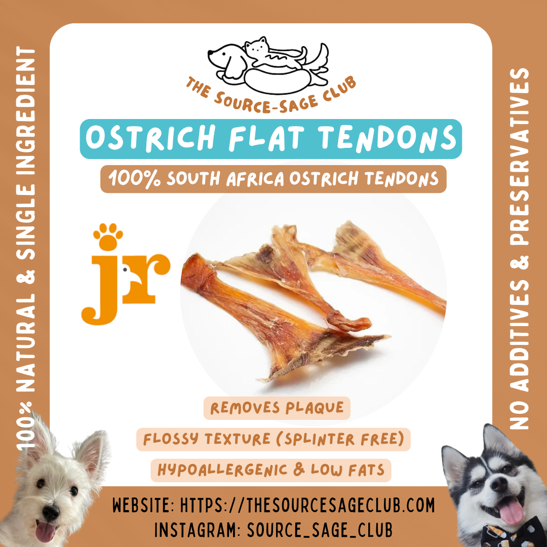 Air Dried Pressed Ostrich Tendon Strips (dog treats dog dental chew)