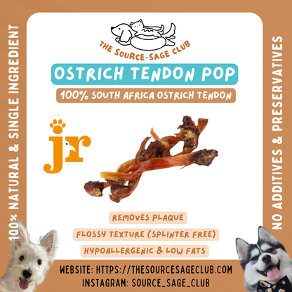 Air Dried Ostrich Tendon Pop 6pcs (single ingredient dog treats, dog dental chew)