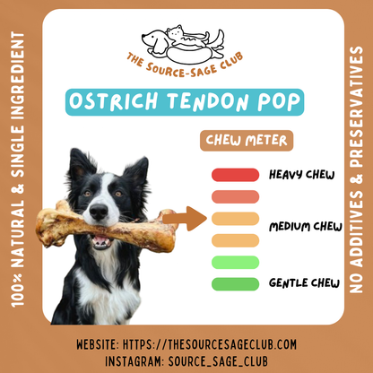 Air Dried Ostrich Tendon Pop 6pcs (single ingredient dog treats, dog dental chew)