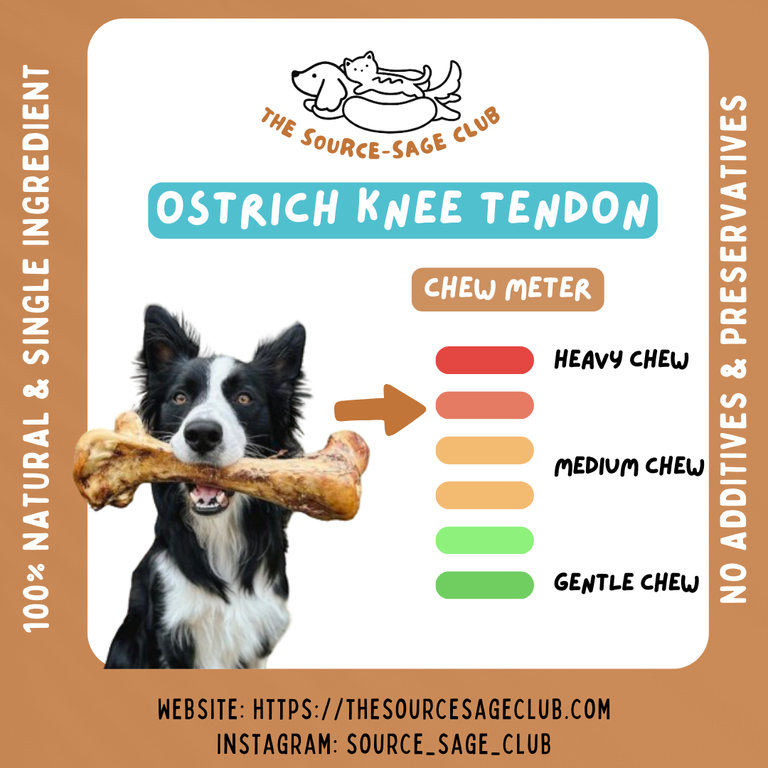 Air Dried Ostrich Knee Tendon (2 pcs) (single ingredient dog treats, dog dental chew)