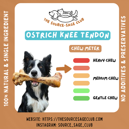 Air Dried Ostrich Knee Tendon (2 pcs) (single ingredient dog treats, dog dental chew)