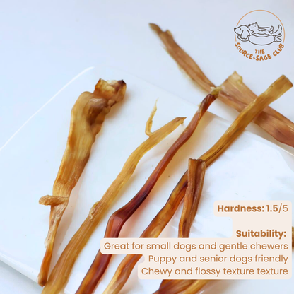 Ostrich Spaghetti Thin Tendon (single ingredient dog treats, dog dental chew)