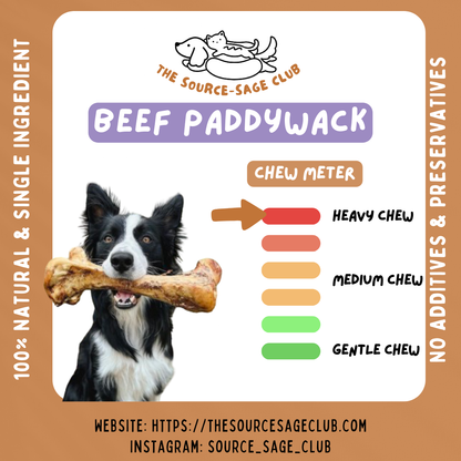 Air Dried Beef Paddywhack Tendon (single ingredient dog treats, dog dental chew)