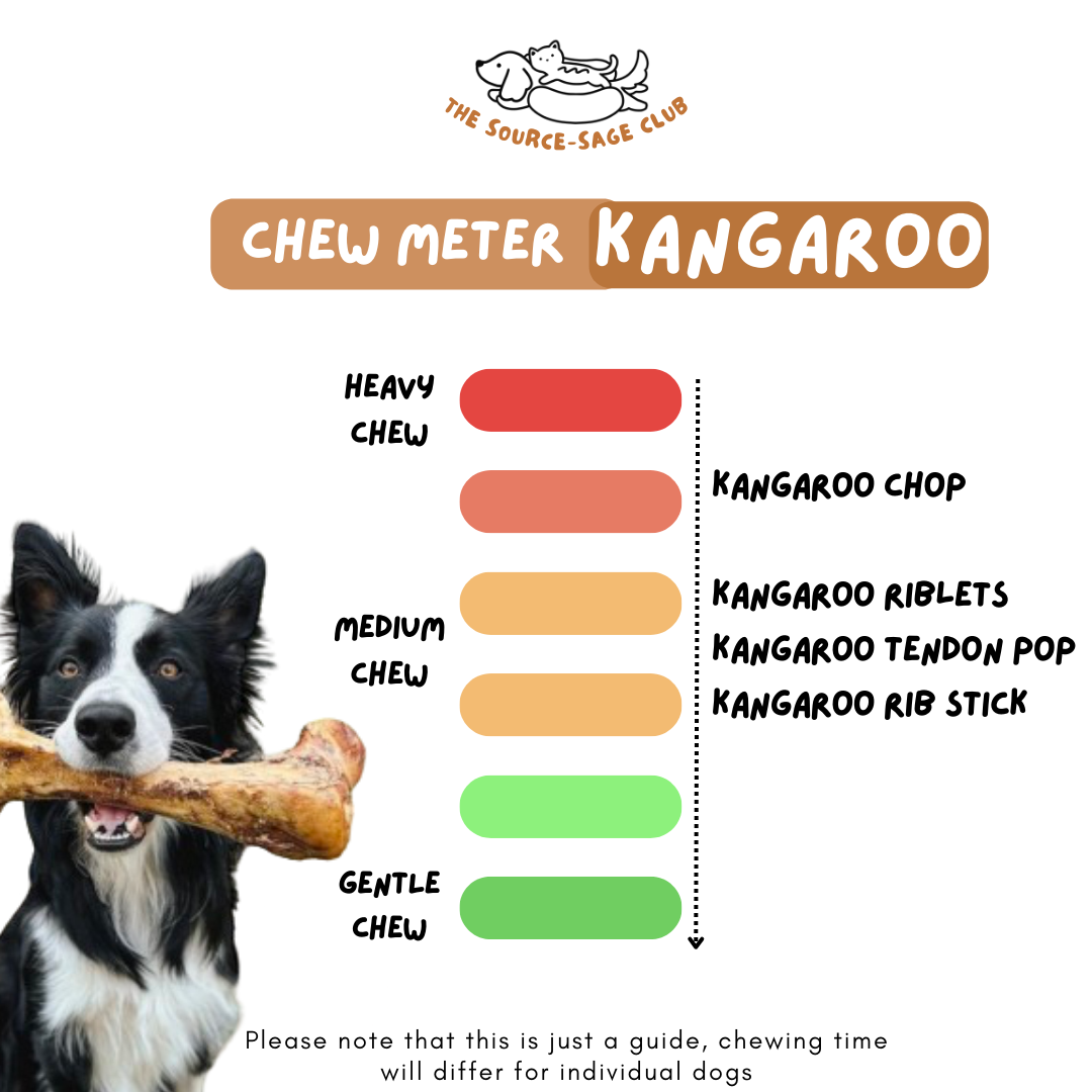 Air Dried Australian Kangaroo Tendon Pop (single ingredient dog treats, dog dental chew)