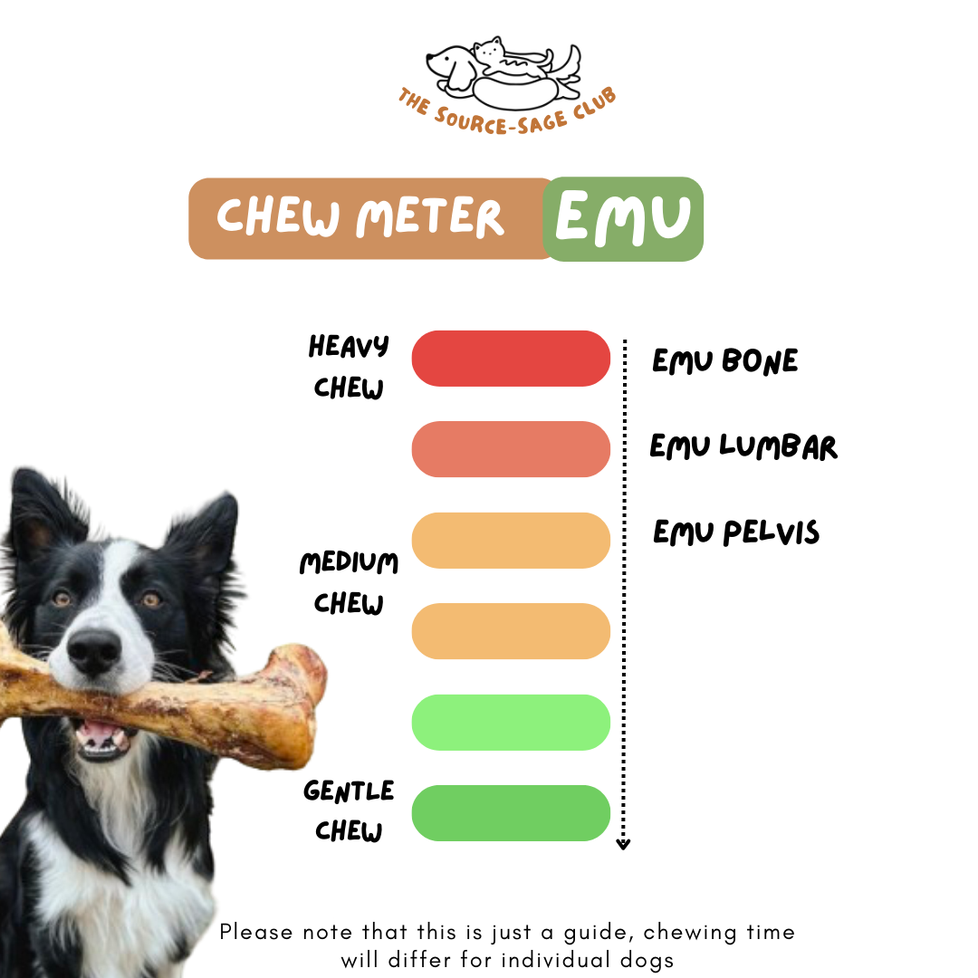 Air Dried Australian Emu Pelvis Bone (single ingredient dog treats, dog dental chew)