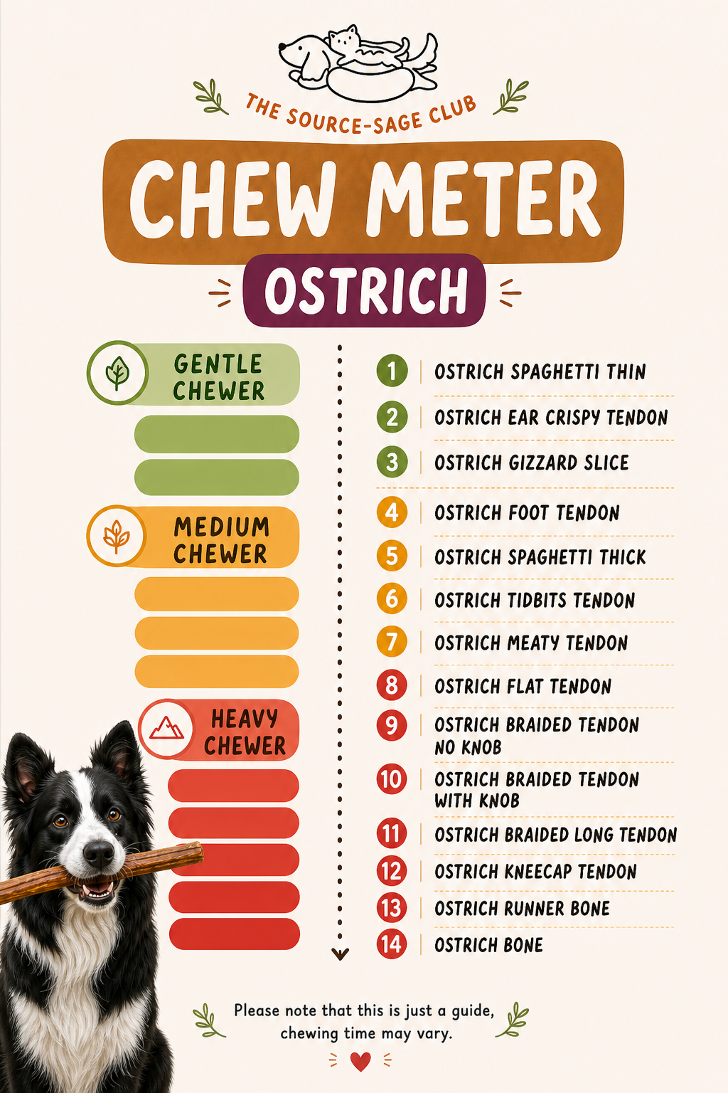 Ostrich Spaghetti Tendon (single ingredient dog treats, dog dental chew)
